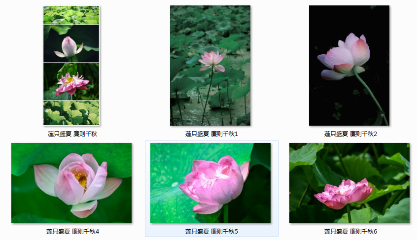 1724986079709751.png 888888.png