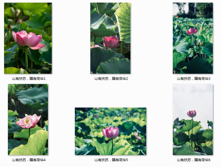 1724986639852964.png 13131313.png